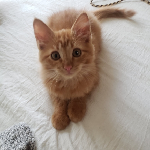 Meet your Posher, Arezu - Picture 4 of 7